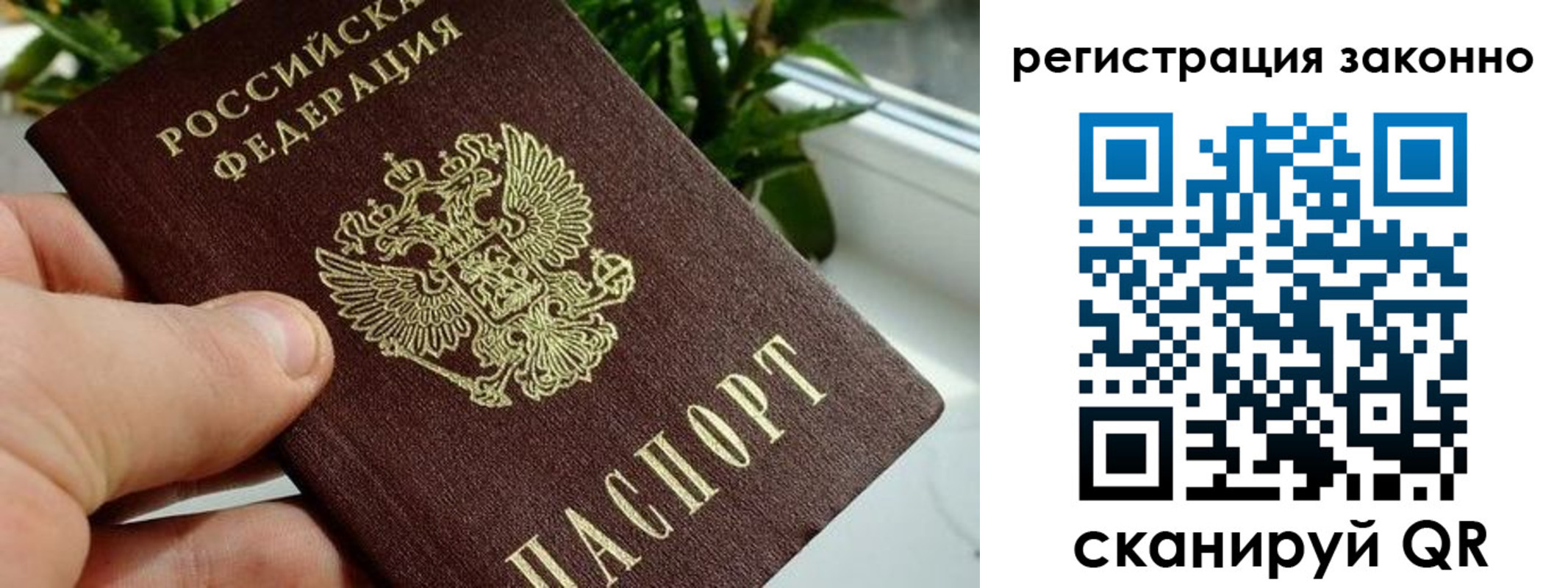 прописка гарантия в Кирсе
